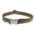 Sassy Dog Wear Velvet Olive Dog Collar Adjusts 18-28 in. Large VELVET OLIVE4-C